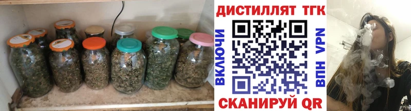 ТГК концентрат Лесной