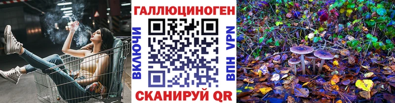 Псилоцибиновые грибы мицелий  Лесной 